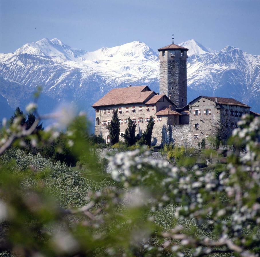 Cinzia Dolomiti Del Brenta Daire Tassullo Dış mekan fotoğraf